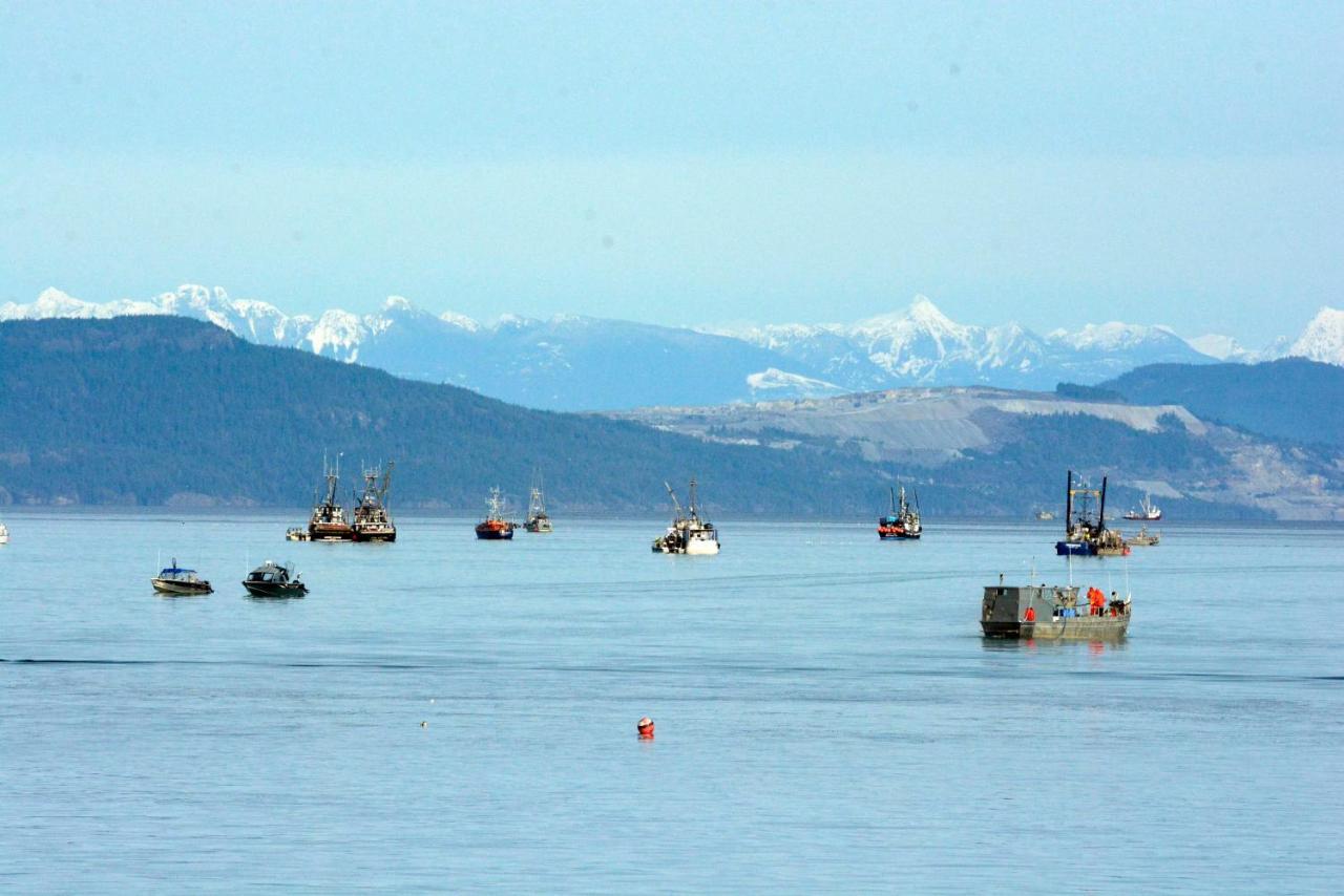 Oceanfront Paradise Comox Zewnętrze zdjęcie