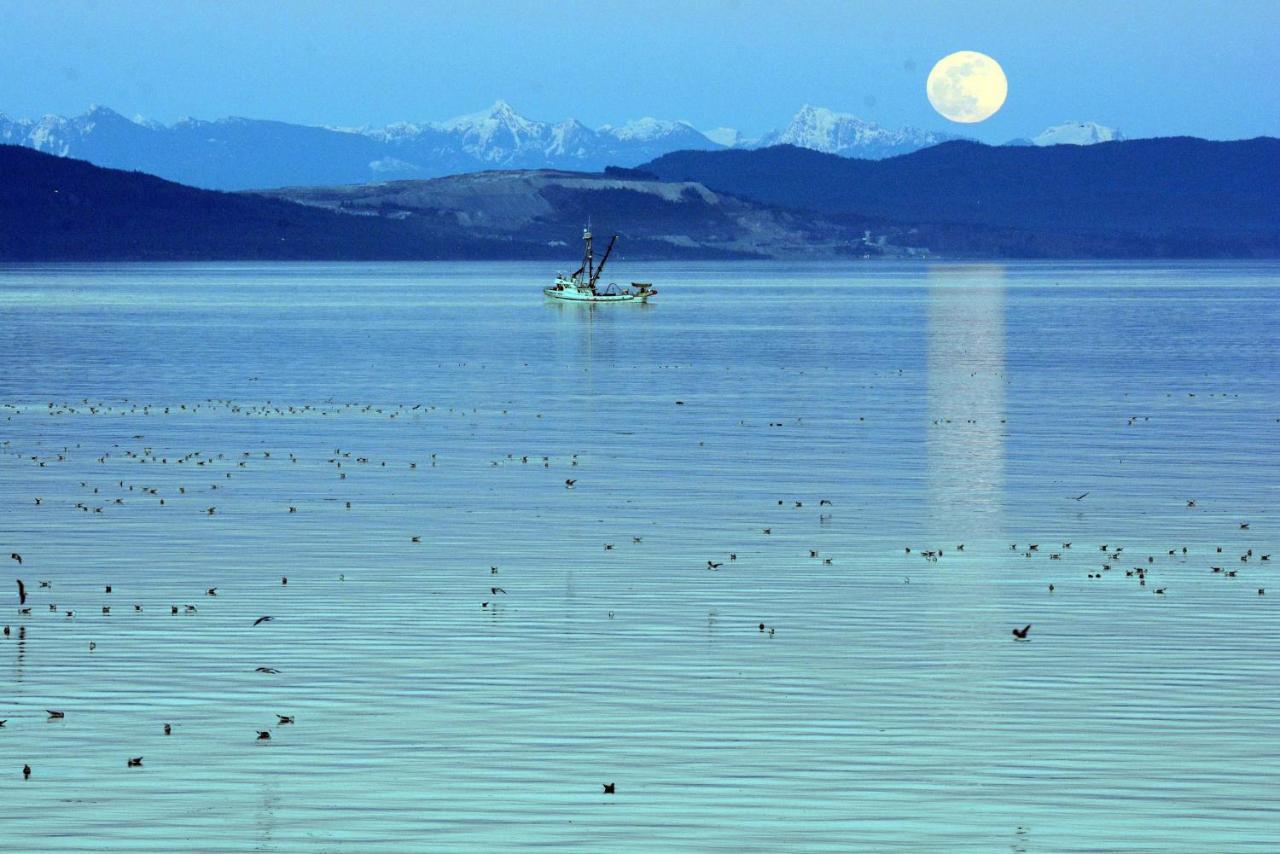Oceanfront Paradise Comox Zewnętrze zdjęcie