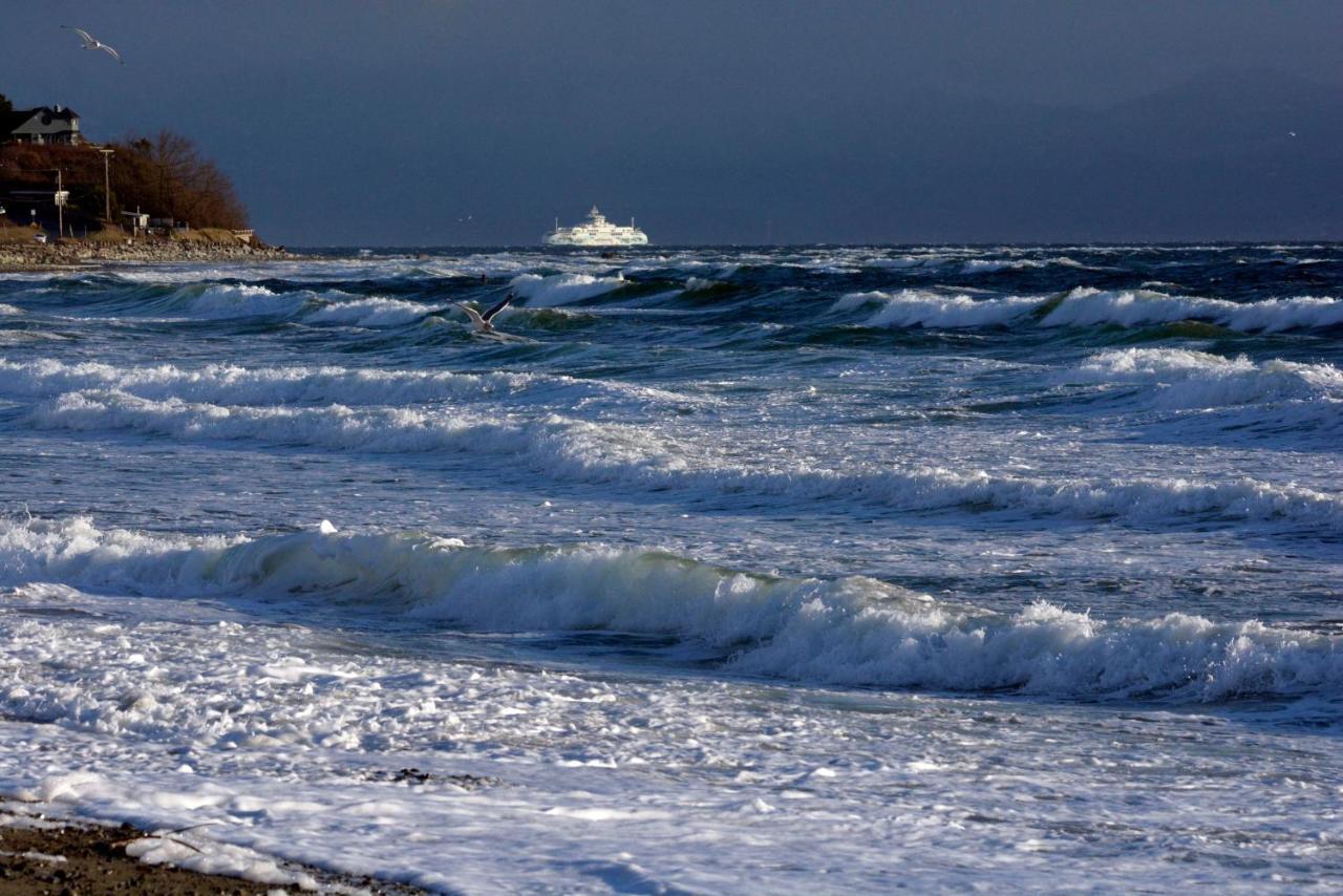 Oceanfront Paradise Comox Zewnętrze zdjęcie